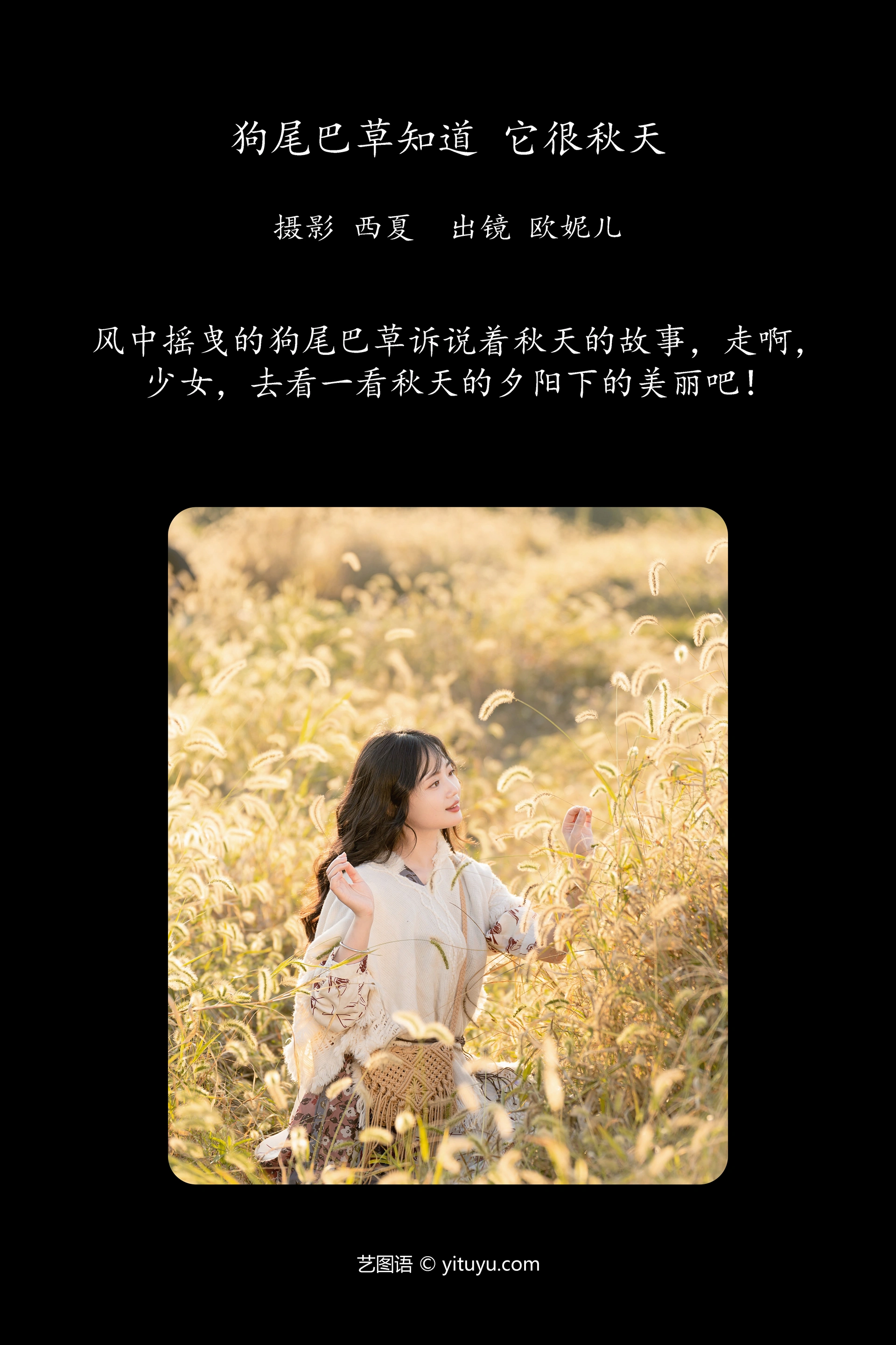 [YITUYU艺图语]2023.11.19 狗尾巴草知道，它很秋天 小欧O 1